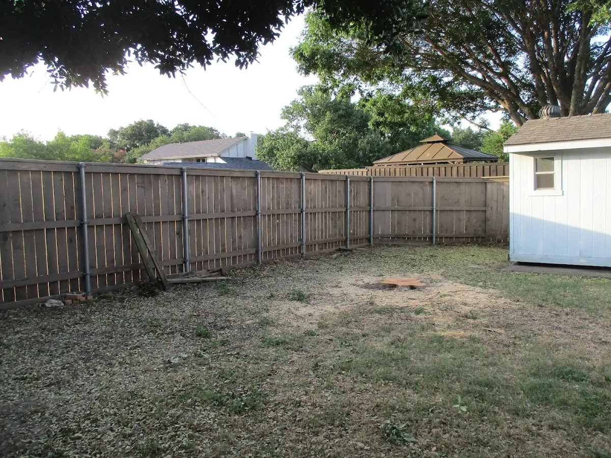 Cleared yard after professional tree removal in Daisy